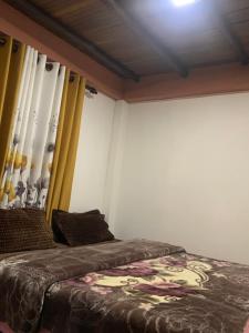 Micro Wood Cabana