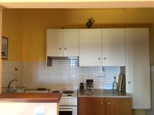 Iris Bioclimatic House