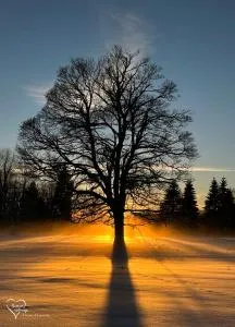 Hájenka Knížecí Pláně - Finsterau