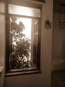 VERY Beautiful Whitetown home l Walkable to beach