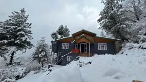 The Cosmic Haven - Tosh