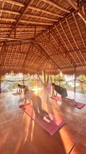 Happy Lemon Tree lodge