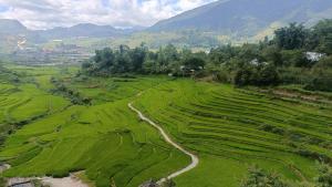 Homestay Núi Đá Tả Phìn