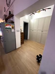 VARADYs 1 bedroom apartment in historic center