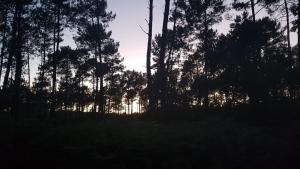 Campings Mobilhome 6 personnes climatisation, TV, lave-vaisselle, 2 salle de bain, 3 chambres au camping Les Vignes a Lit-et-Mixe dans les Landes avec piscine, : photos des chambres