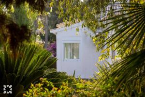 Villa Buena Vida by Abahana Villas