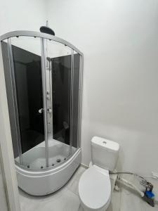 Lukiskiu apartament