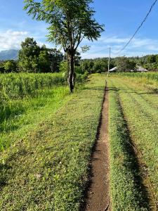 Villa Rosa East Bali