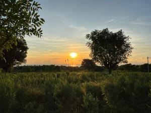 Villa Rosa East Bali