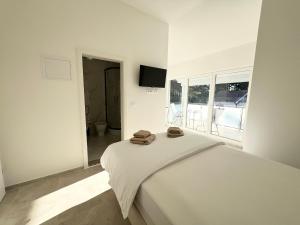 Apartments Tereza 