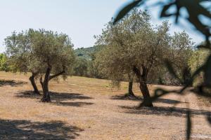 The Magical Villa img57