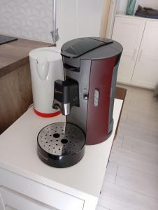 Appartements Studio jardin : photos des chambres