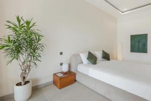 Villa Hijau with 3 BR and Rooftop in Center of Berawa