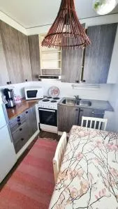 Peaceful studio with sauna - Rantakosula