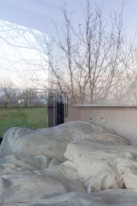 Lodges Pepiite Lodge Nature et Spa : photos des chambres