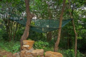 SaffronStays Raanwaara Luxe - 2BR villa with dual balcony jacuzzis, infinity swing & private waterfall, luxurious escape