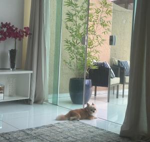 Coberta vista mar! Ilhéus