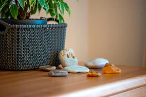 Apartament Amber, Liepāja