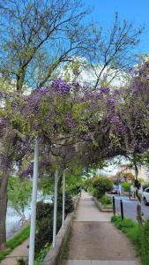 Appartements Appartement terrasse entre Paris et Disney : photos des chambres