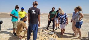 White Desert Egypt Tours