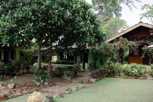 AMBOW Homestay Jungle Trekking & Village Tour