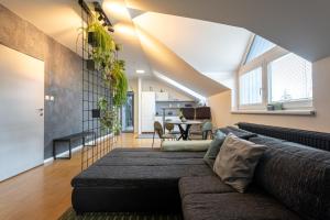 Urban Bloom apartments by Booky