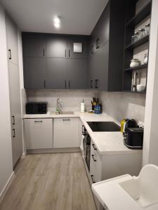 W centrum NOWY Kameralny Apartamenta, Duży Parking, FV, Luksusowo wyposażony, PlayStation 5, Balkon, Klimatyzacja, Taras, Winda, Wyposażona kuchnia