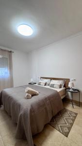 Amplio apartamento en centro