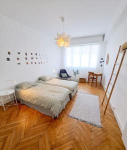 Appartements Le Charme - APPARTEMENT CENTRE VILLE, PROCHE DE LA PLAGE ET DU MARCHE : photos des chambres