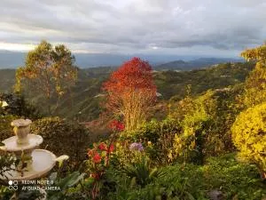 米拉多尔芬卡莫罗加克住宿加早餐旅馆 - 马尼萨莱斯
