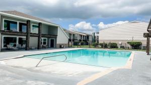 Cozy Comfort 1BR - Renovated, Private, Pet Welcome