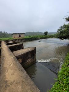 Wayanad Villa homestay