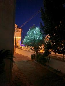 Villa Neda