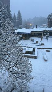 Appartements Ax 3 Domaines Plateau de Bonascre Charmant duplex face aux pistes avec terrasse : photos des chambres