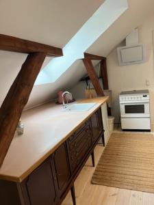 Ved Holckenhavn Fjord