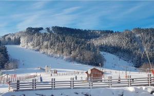 Appartements Ax 3 Domaines Plateau de Bonascre Charmant duplex face aux pistes avec terrasse : Appartement