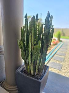 Morokolotsi Guest House