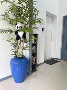 Appartements Appartement en centre ville : photos des chambres
