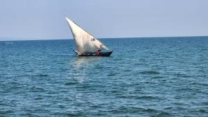 Arch-Villa Resort&Camping Site Mfangano Island