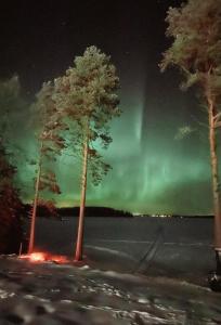 Beach cottage with sauna