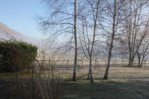 Maisons de vacances Gite l-Estibere en Val d-Azun : photos des chambres