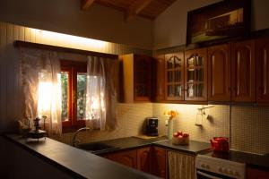 Beetle Villa retro country house