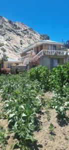 Hostal Inti Uma Kala