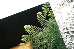 MAI HOTAY Lakeside Highland Retreat Homestay