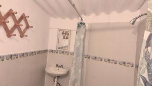 The Octopuss Garden Hostel