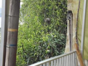 Varandão Atelier Lounge Santa Teresa