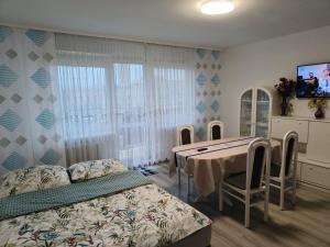 Mieszkanie przy parku