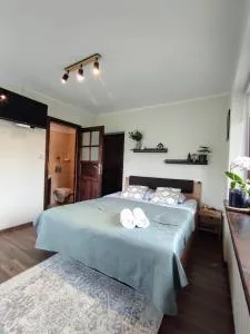 Willa Lano - Biały Dunajec