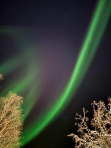 Villa Oitola I Parking I Sauna I Wifi I Lake I Rural I Forest I Ideal for Aurora spotting