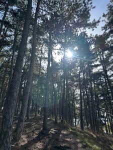 Cosy room in a stylish Villa
